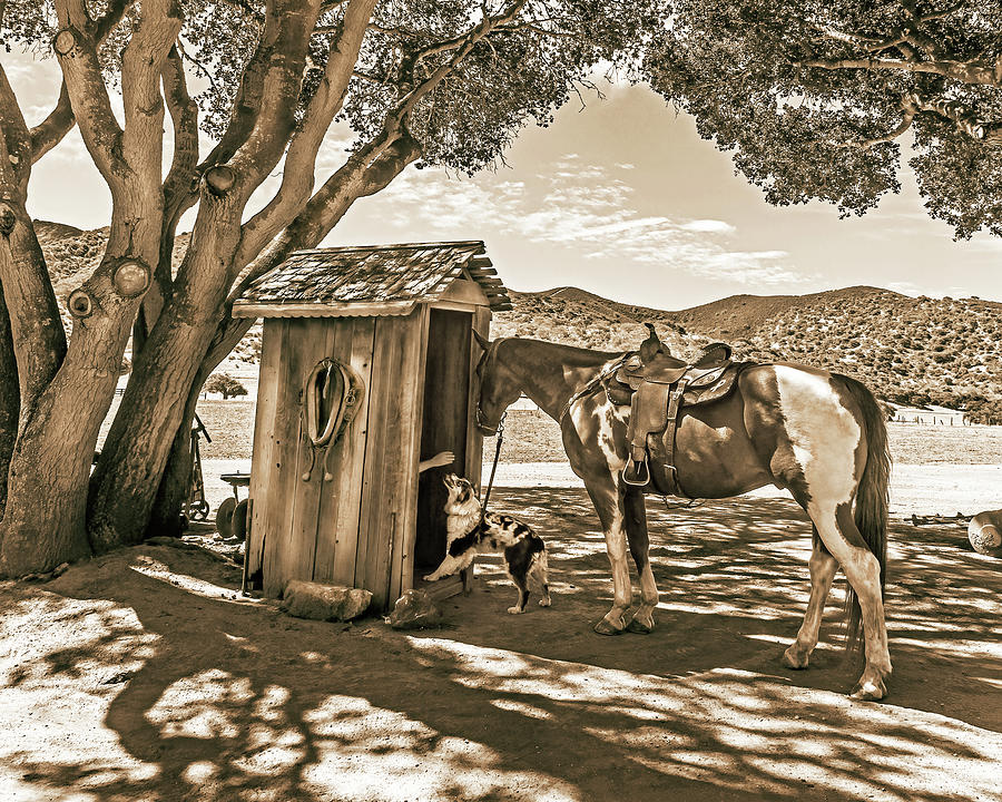 Cowboy Gotta Go, Sepia, Horizontal Photograph by Don Schimmel