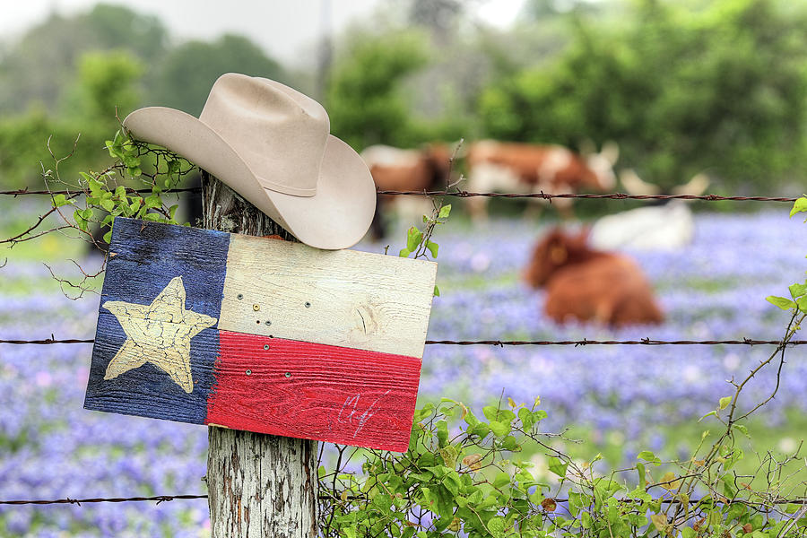 Cowboy Hat Texas Flag and Longhorns Photograph by JC Findley