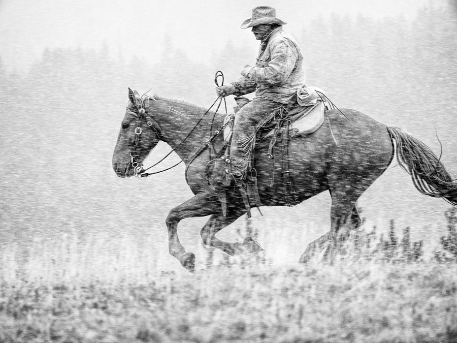 Cowboy in Motion Photograph by Eggers Photography