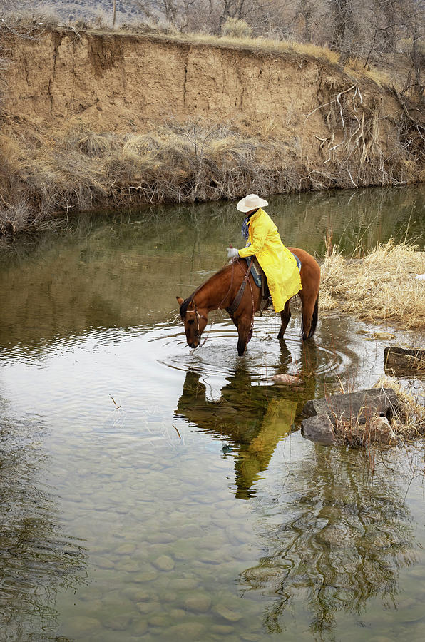 Cowboy in the Creek Photograph by Laura Terriere
