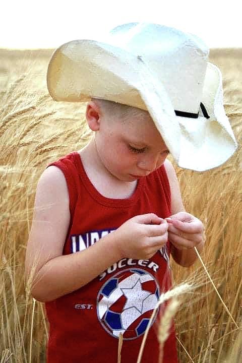 Cowboy in wheat Photograph by Shirley Heier
