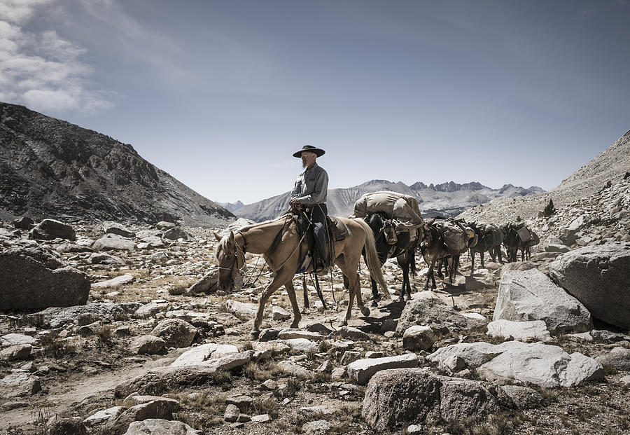 Cowboy leading mule train on the John Muir Trail Photograph by David Madison