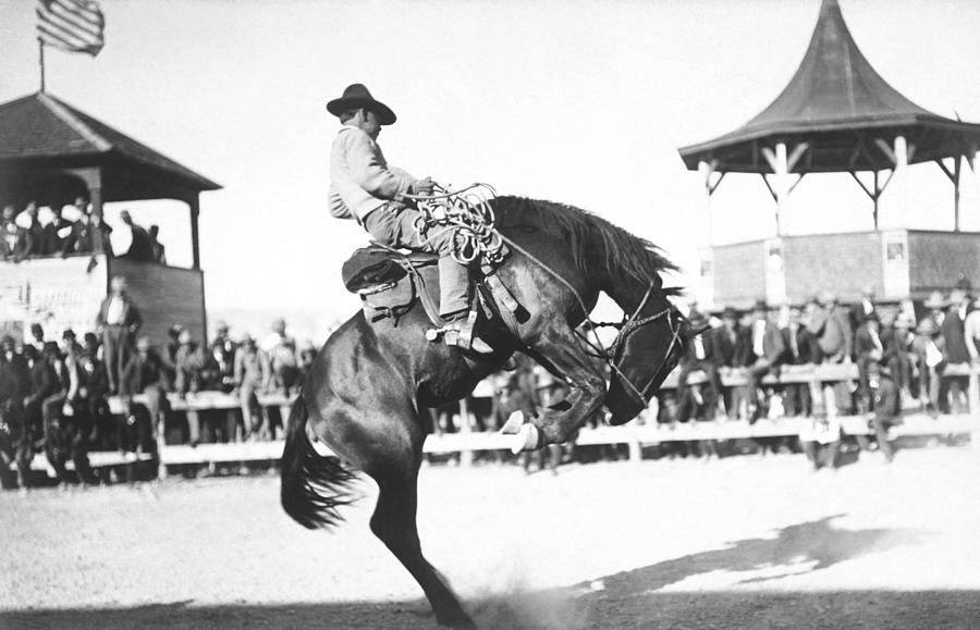 Cowboy On Bucking Bronco At Rodeo - Circa 1910 Photograph by War Is Hell Store