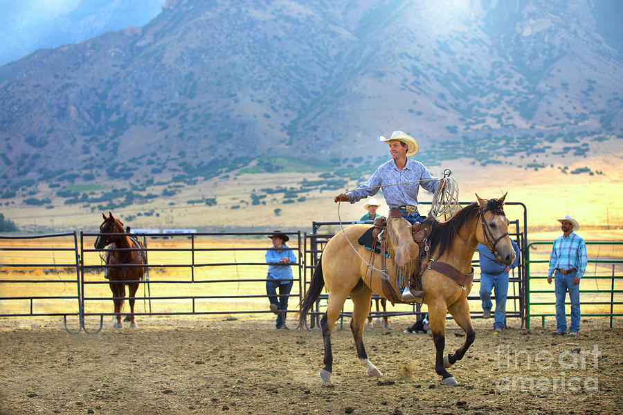 Cowboy on his Horse Photograph by Diane Diederich
