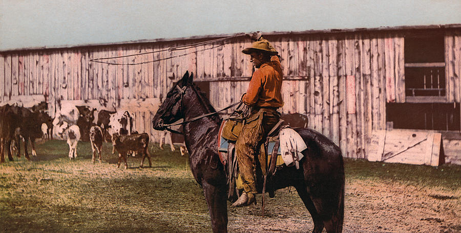 Cowboy On Horseback Throwing A Lasso - Circa 1900 Photochrom Photograph by War Is Hell Store