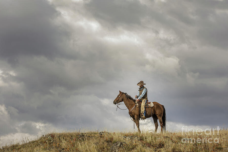 Cowboy on Watch Photograph by JBK Photo Art Cowboy on Watch Photograph by JBK Photo Art