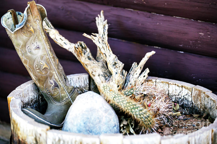 Cowboy Plant at Old Nevada Photograph by John Rizzuto - Fine Art America