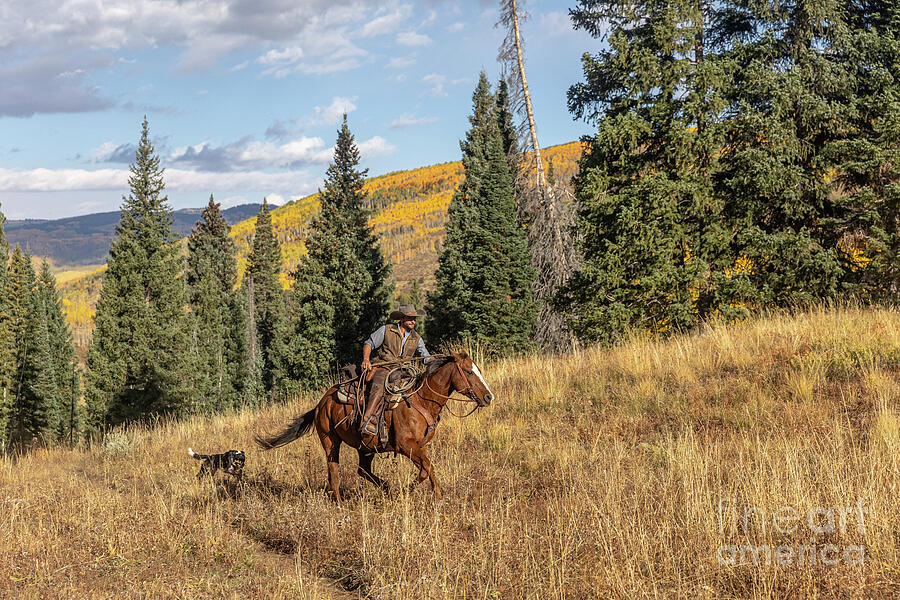 Cowboy Riding in the mountains Photograph by JBK Photo Art Cowboy Riding in the mountains Photograph by JBK Photo Art