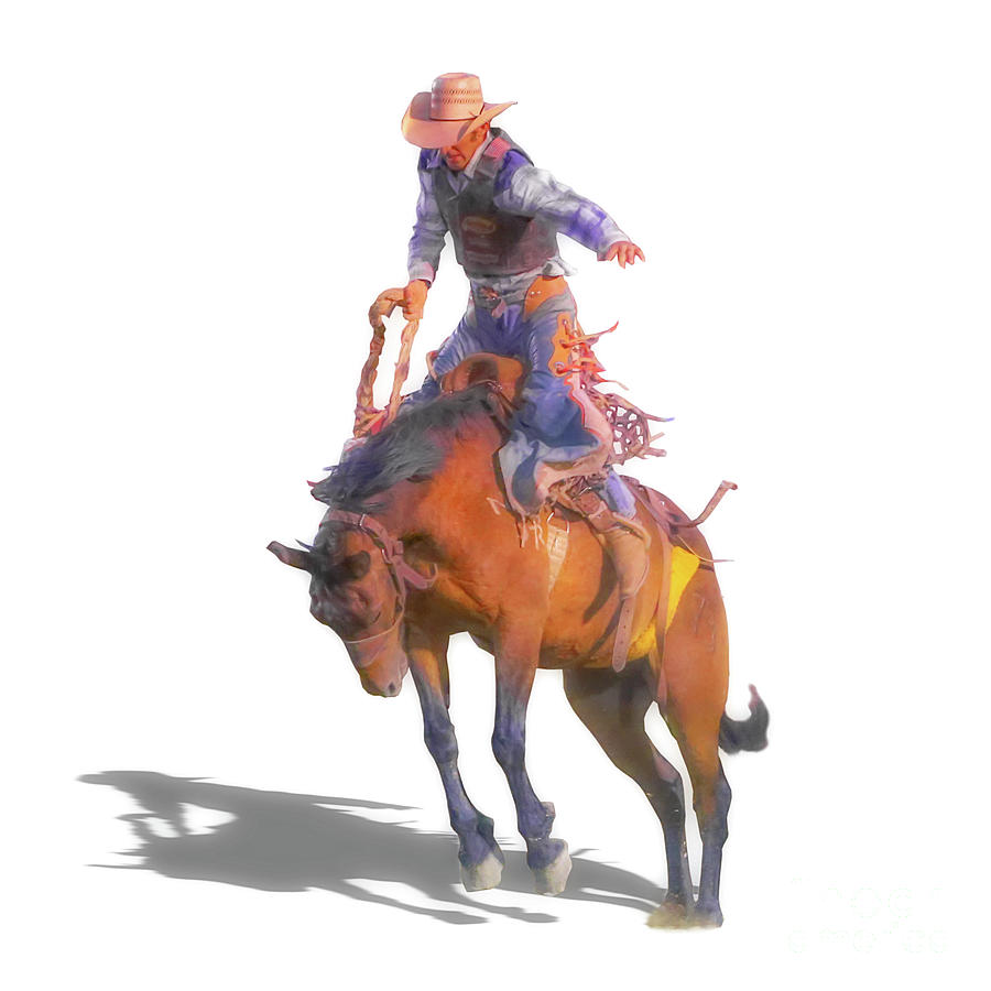 Cowboy Rodeo Bronco Riding Digital Art