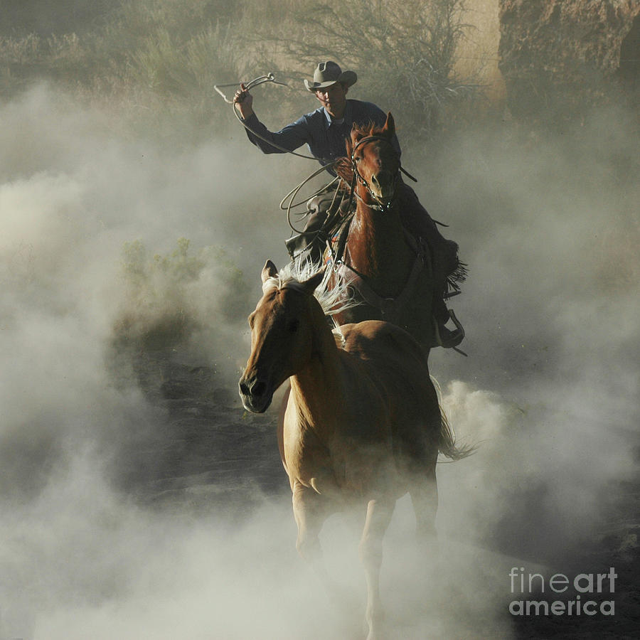 Cowboy Roping Horses Photograph by Jody Miller