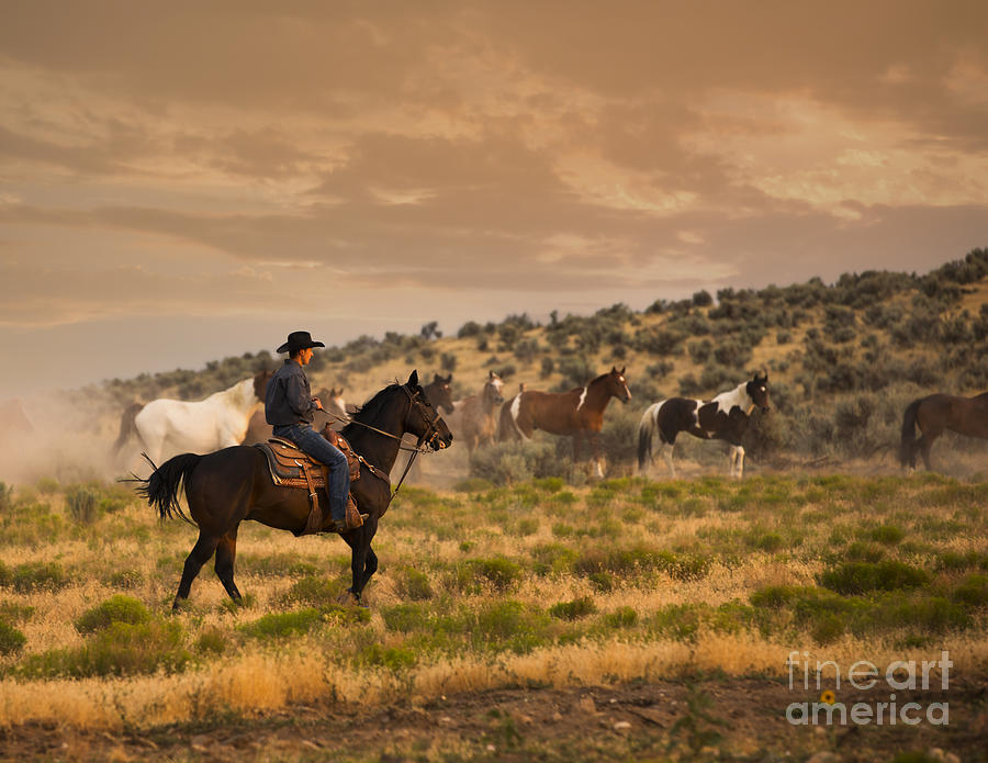 Cowboy Rounding Up the Horses Photograph by Diane Diederich
