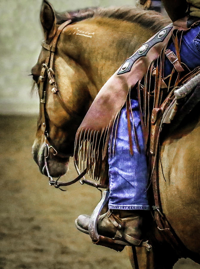 Cowboy Saddled Photograph