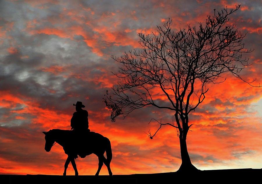 Sunset Photograph - Cowboy Sunset by KaFra Art