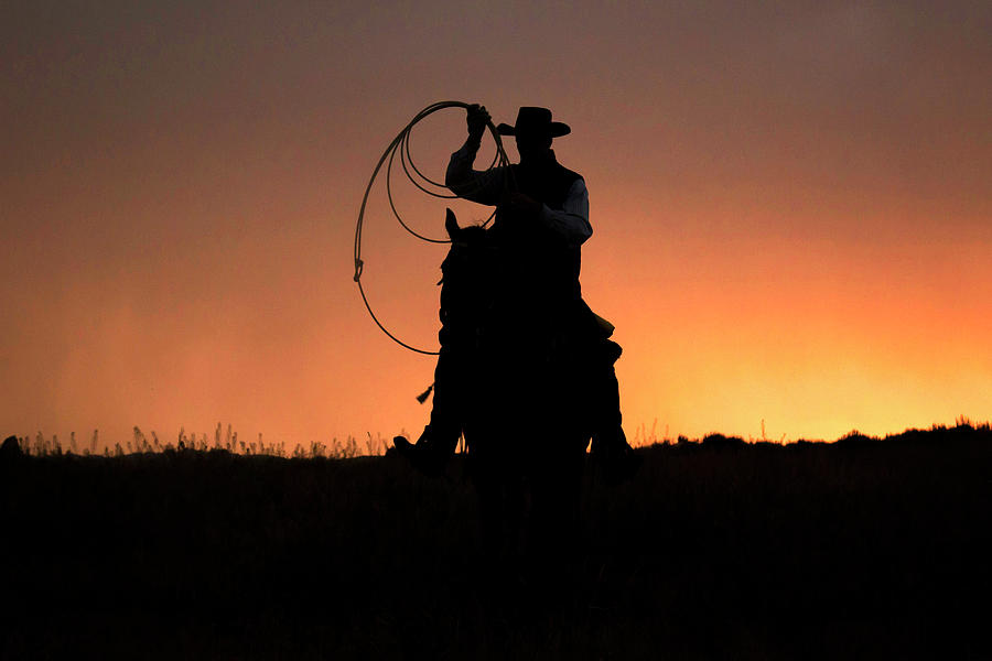 Cowboy Sunset Silhouette Photograph By Nick Jaicomo Pixels