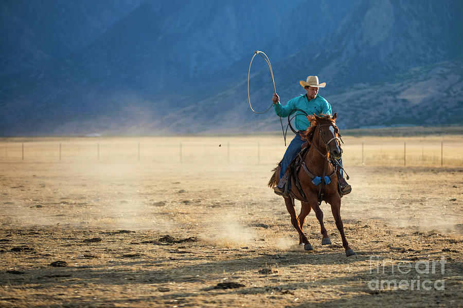Cowboy Twirling a Lasso Photograph by Diane Diederich
