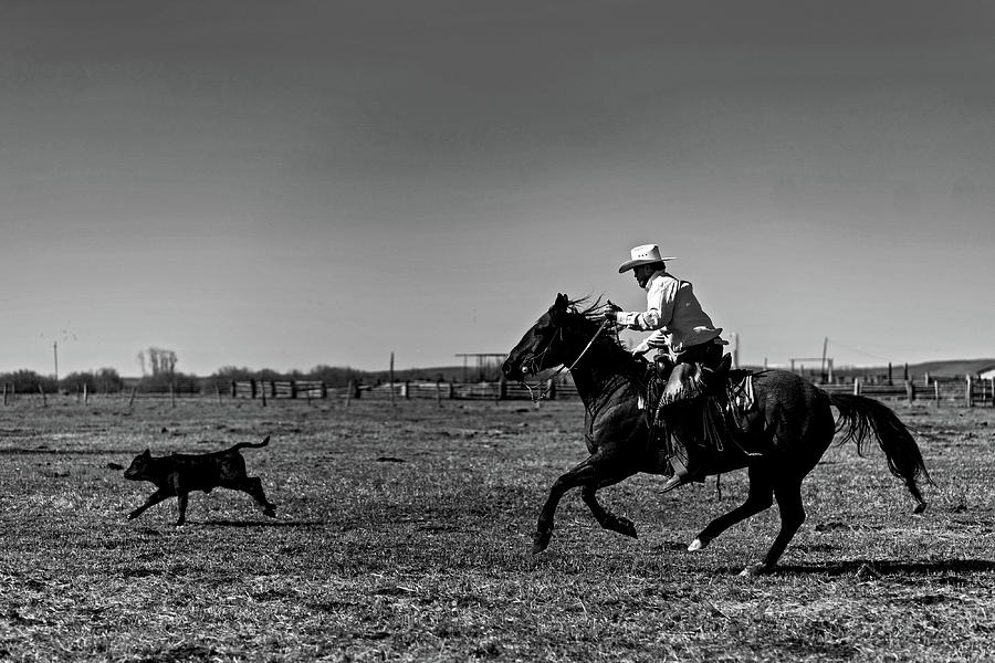 Cowboy with calf  Photograph by Julieta Belmont