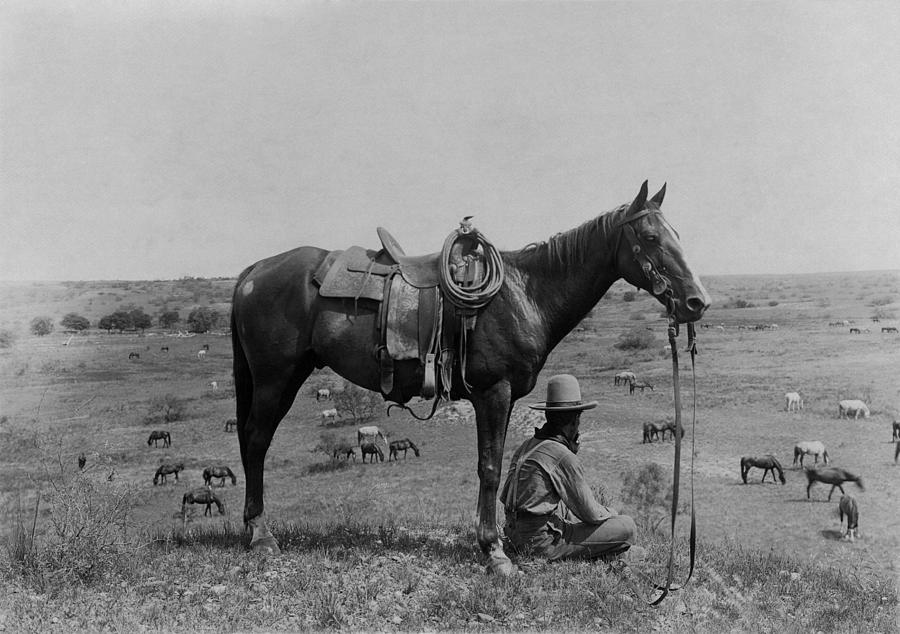 Cowboy With His Horse Looking Over The Ranch - Texas Circa 1910 Photograph by War Is Hell Store