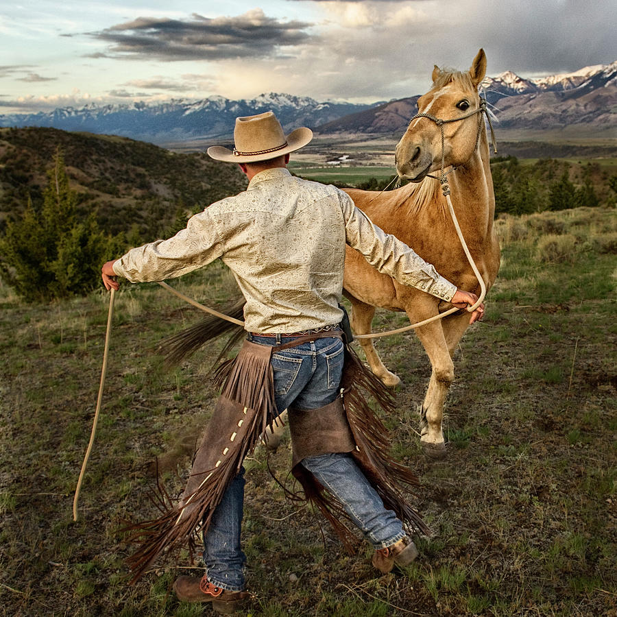 Cowboy Wrangling Horse in Montana Photograph by Newton Powell Fine