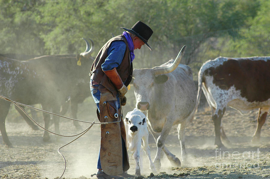Cowboys and calf friend Photograph by Jody Miller