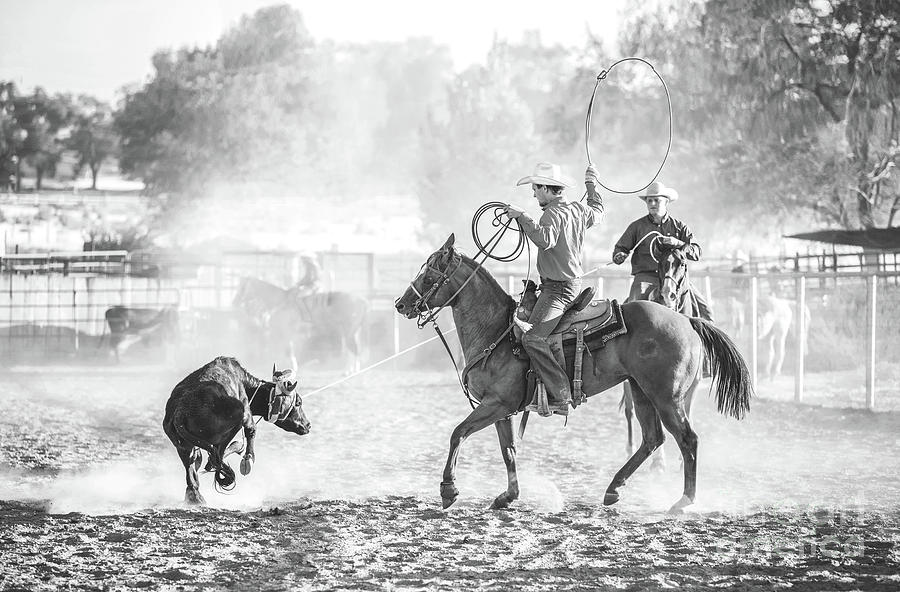 Cowboys Roping a Steer- Black and White Version Photograph by Diane Diederich