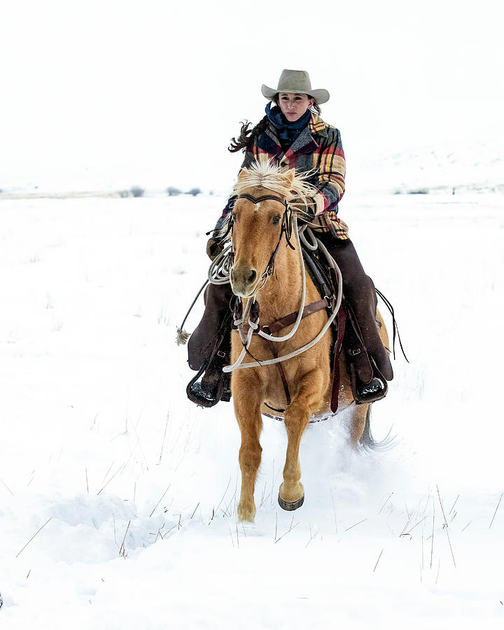 Cowgirl in the Cold Photograph by Dawn Key
