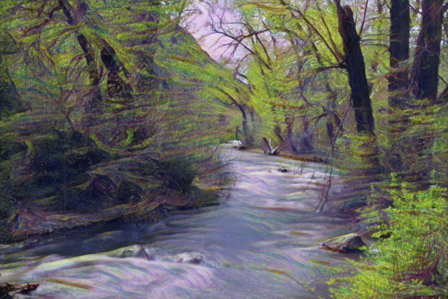 Cowichee Creek Winding Through The Cottonwoods Photograph