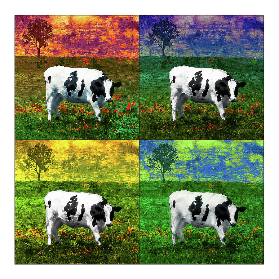 Cows 4 Squared Photograph by ARTtography by David Bruce Kawchak