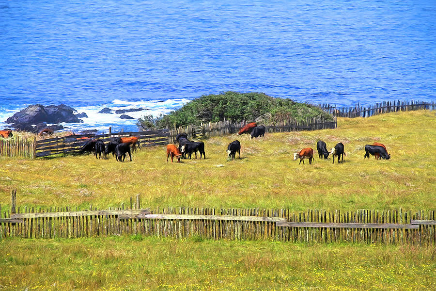 Cows by the Sea Photograph by Donna Kennedy
