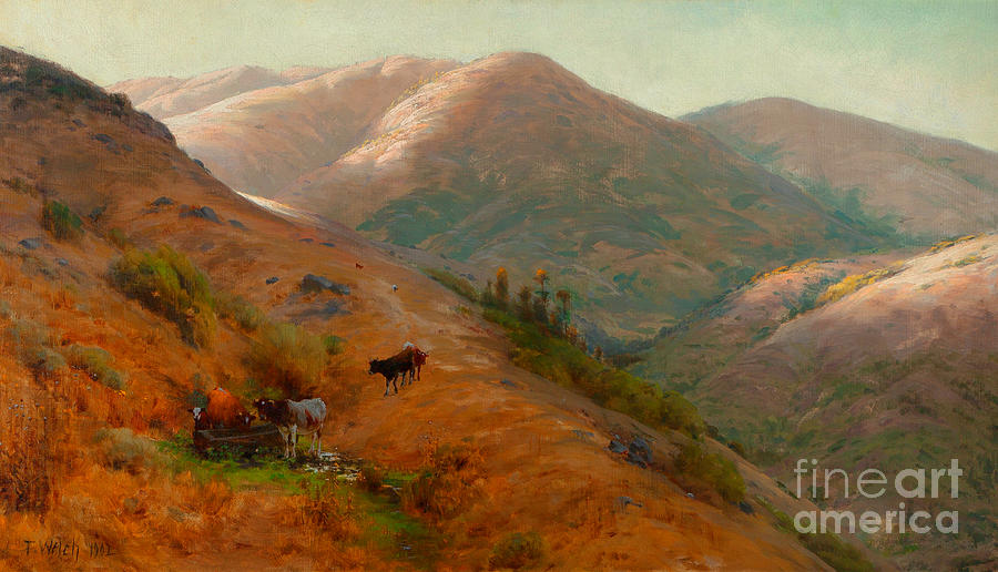 Cows Grazing the Hills of Marin County California Painting by Peter Ogden