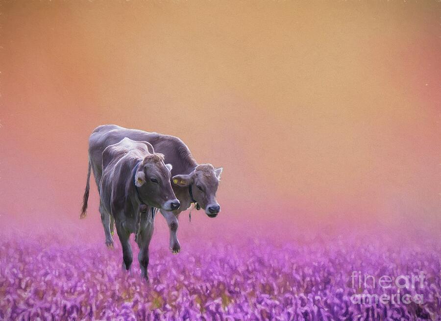Cows in Spring Photograph by Eva Lechner
