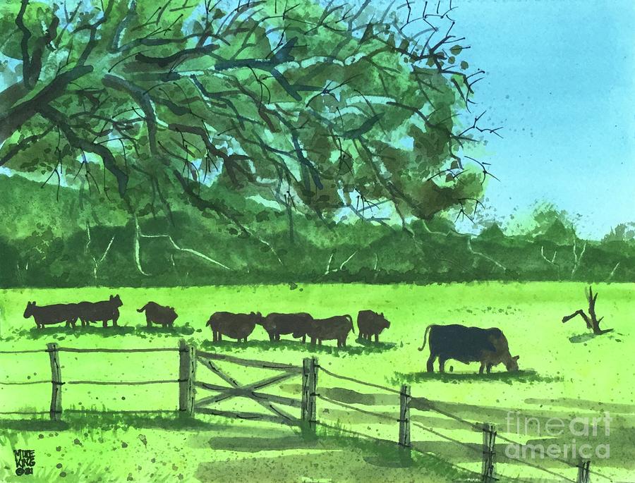 Cows Near Gainesville, Fl. Painting