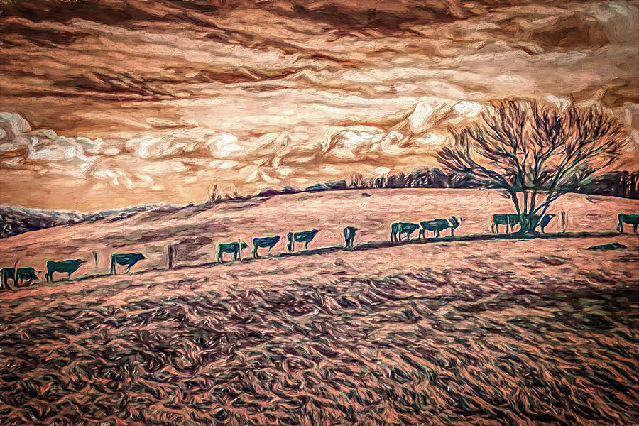 Cows on a Hill ap Painting by Dan Carmichael