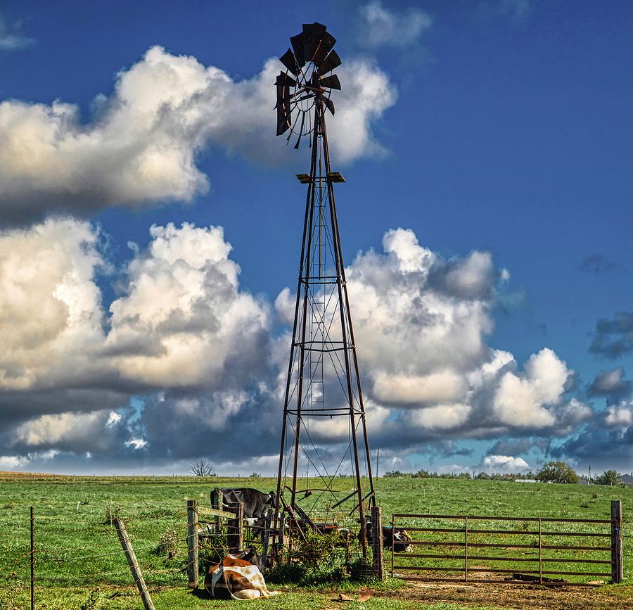 Cow Photograph - Cows Resting Under the Windmill by Mountain Dreams