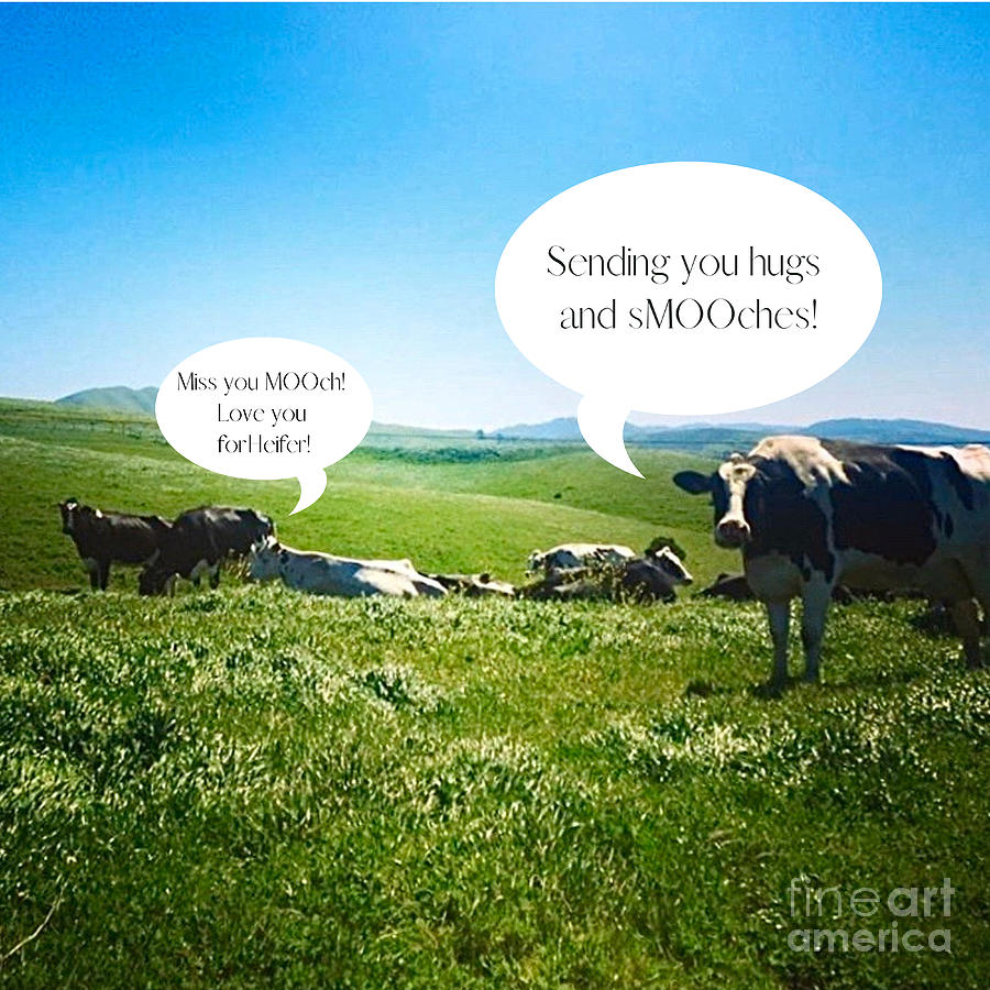 Cows Talking Photograph by Christie Olstad