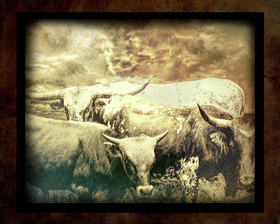 Cows Textured Photo Art With Border Photograph by Ann Powell