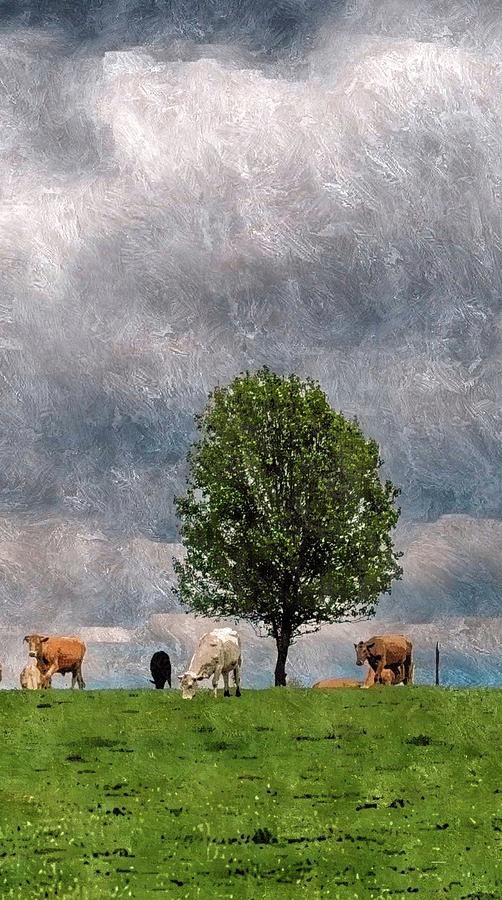 Cows Tree Sky Photograph by Kathy Barney