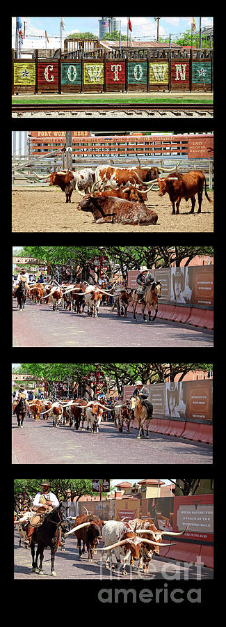 Cowtown Collage One Photograph by Earl Johnson
