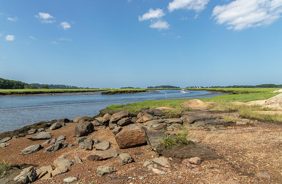 Summer Photograph - Cox Reservation view of Essex River 4 by Michael Saunders