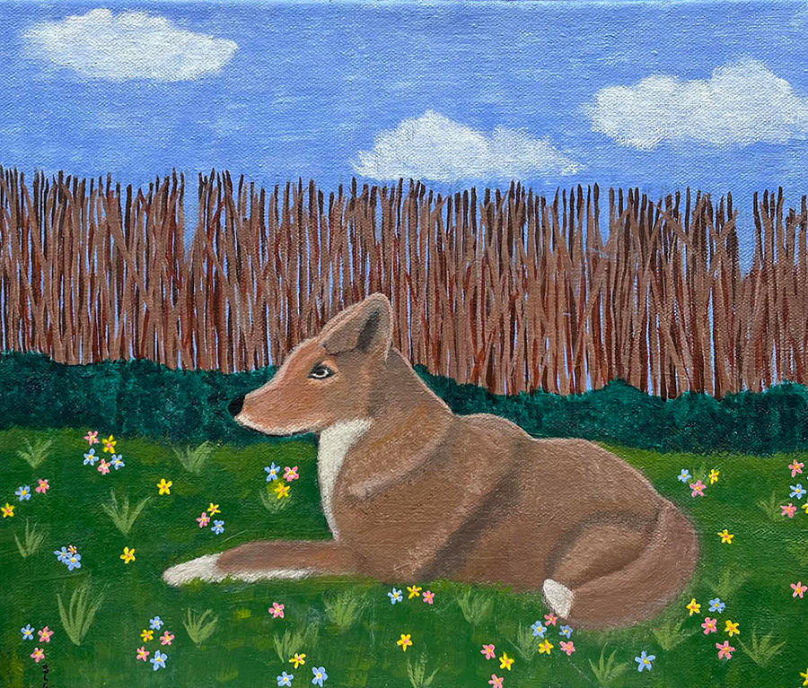 Coyote at Rest Painting by Sue Gurland