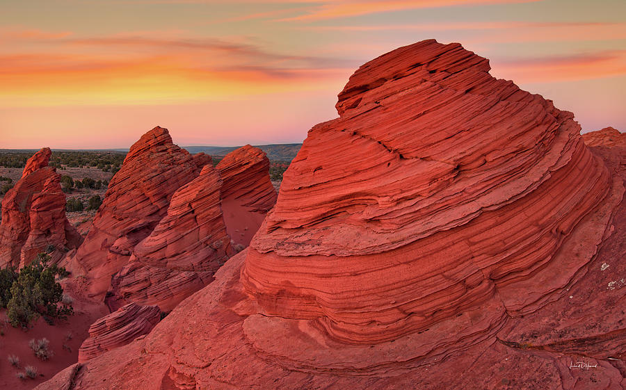 Coyote Buttes Arizona Photograph by Leland D Howard