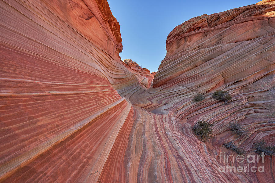 Coyote Buttes Photograph by Brian Kamprath