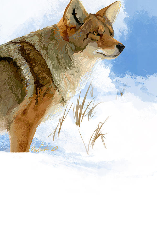 Coyote Hilltop Painting by Pam Little