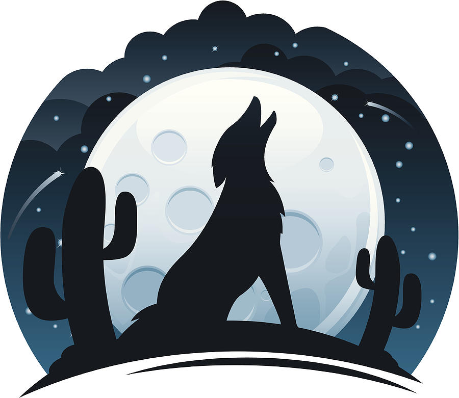 Coyote Howling at Night Drawing by Appleuzr