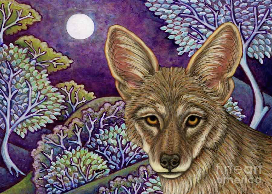 Coyote Night Painting by Amy E Fraser