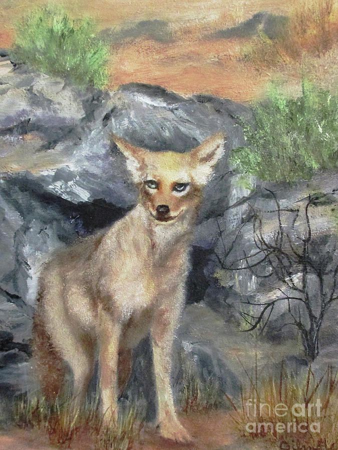 Coyote Pup Painting by Roseann Gilmore