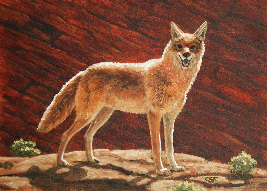 Coyote Rock Painting by Crista Forest