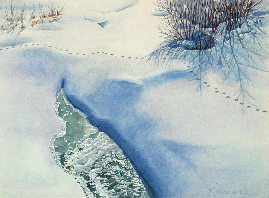 Coyote Tracks Mixed Media by Joan Wolbier