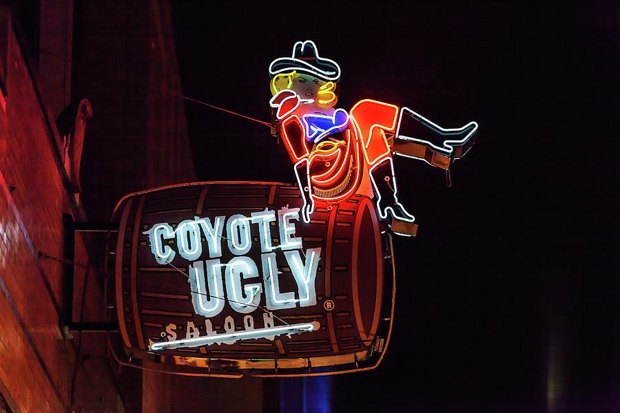 Beale Street Neon, Memphis, Coyote Ugly Saloon Photograph by Alex