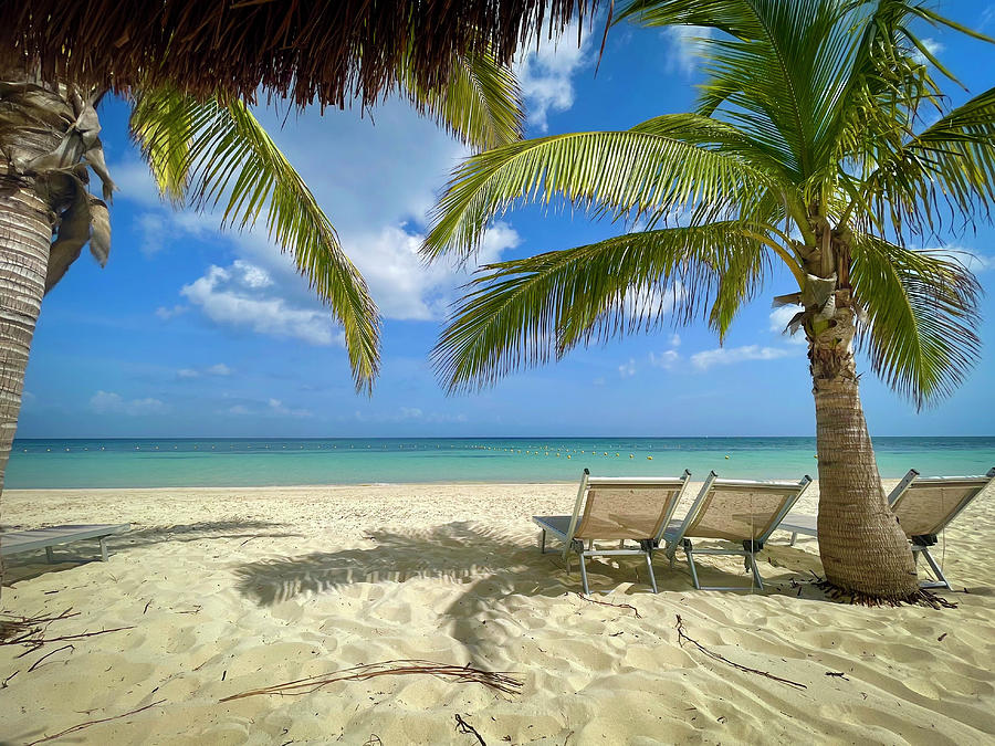 Cozumel Beachfront Photograph by Michael J Bauer Photography - Fine Art ...