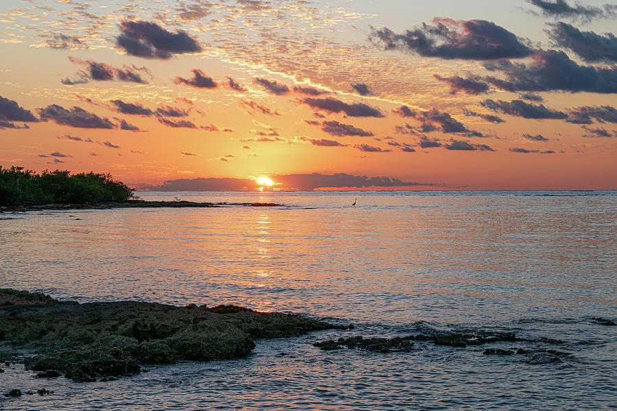 Cozumel Sunset 2 Photograph by Aaron Spong